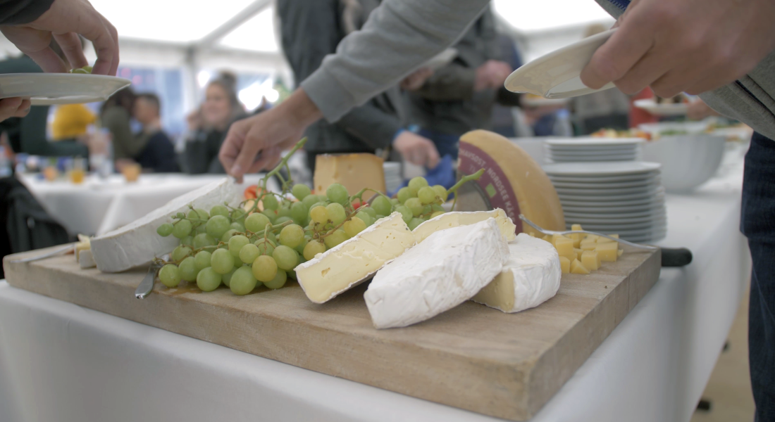 Ostebord med druer og brie til buffet i Sparekassen Danmark Lounge på Skive Festival.